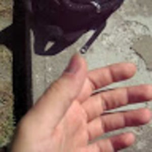 Meet your Posher, Olga